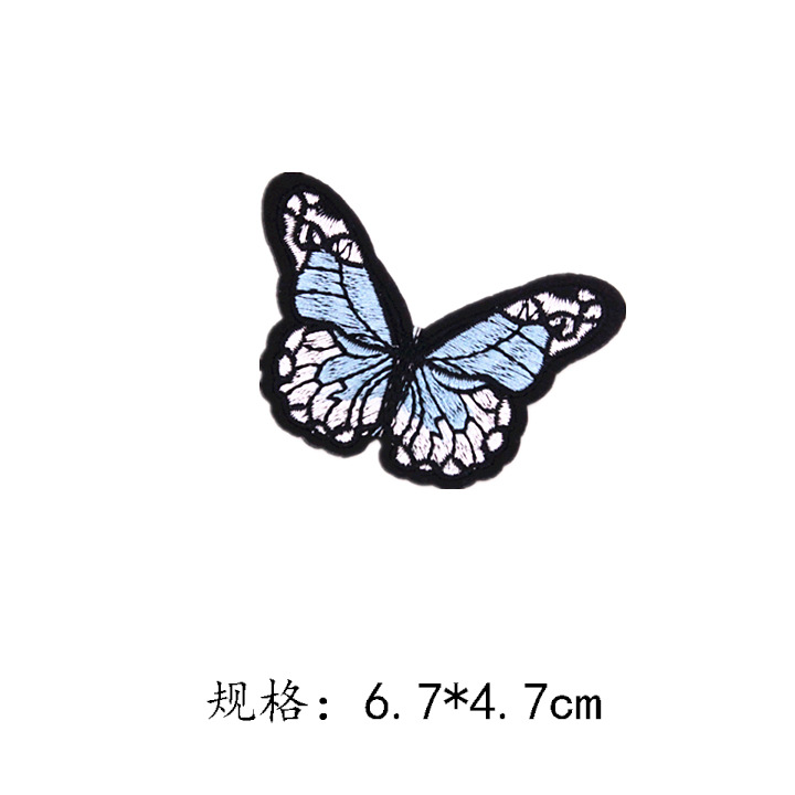 蝴蝶4-2