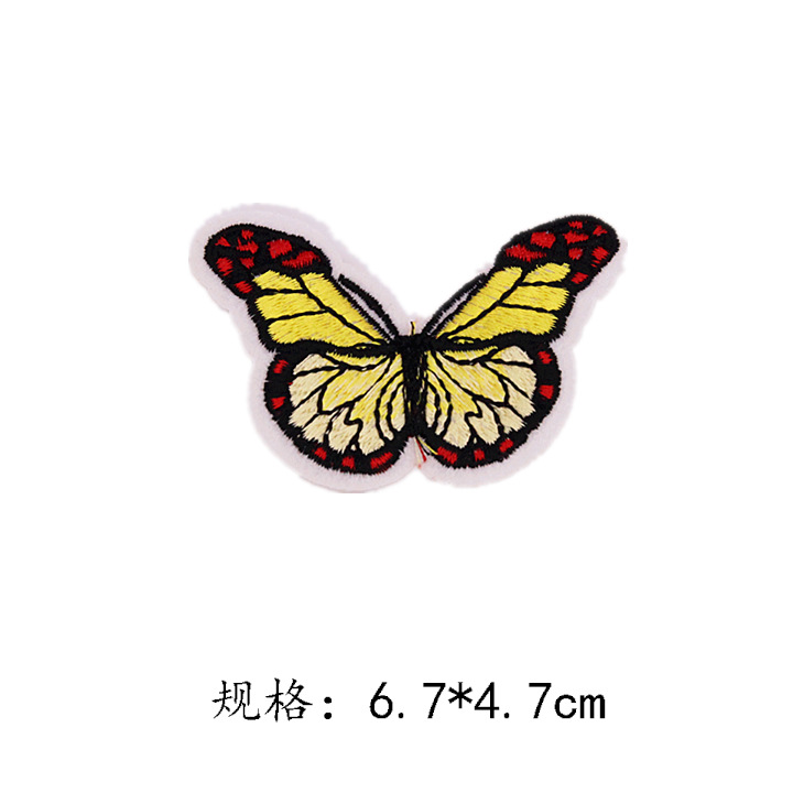 蝴蝶24