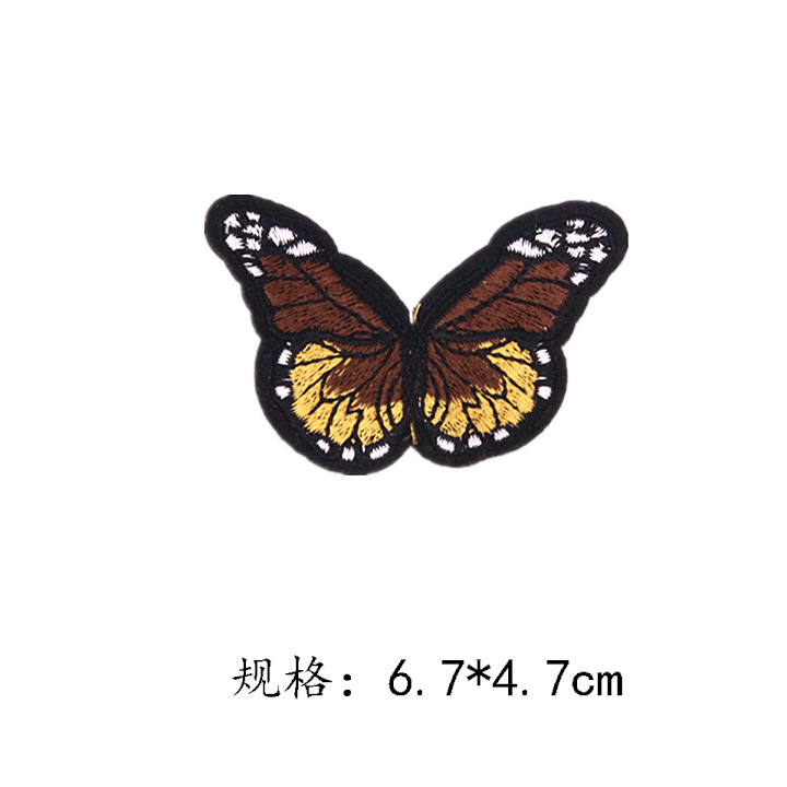 蝴蝶72