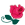 玫瑰朵数代表的意思 <wbr>及玫瑰花语