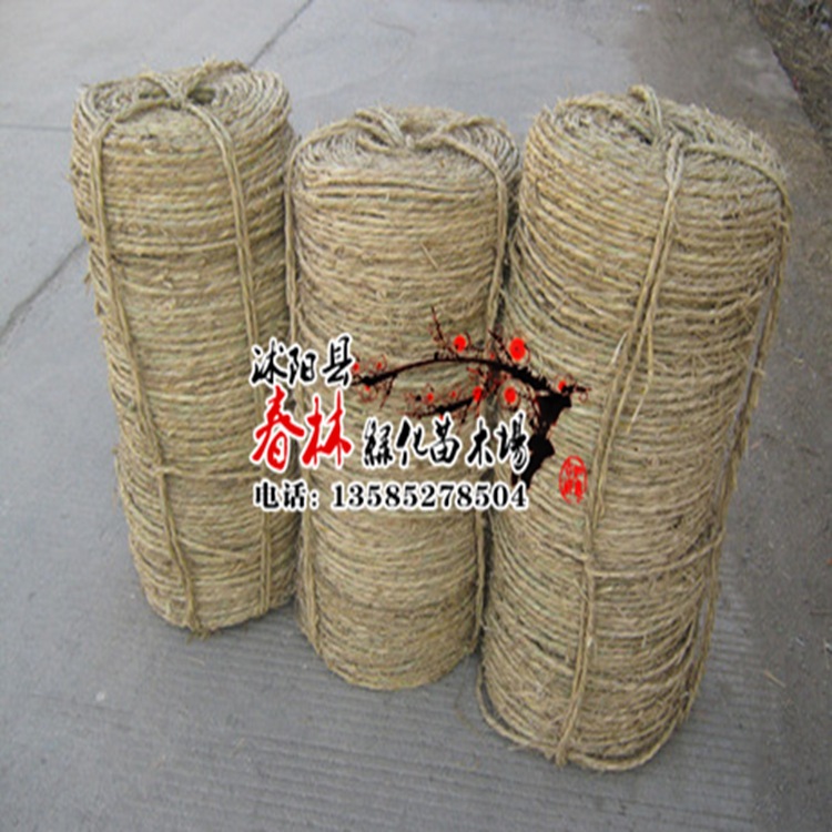 稻草绳 (10)