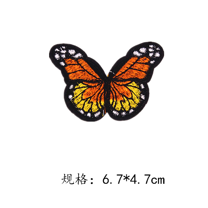蝴蝶20