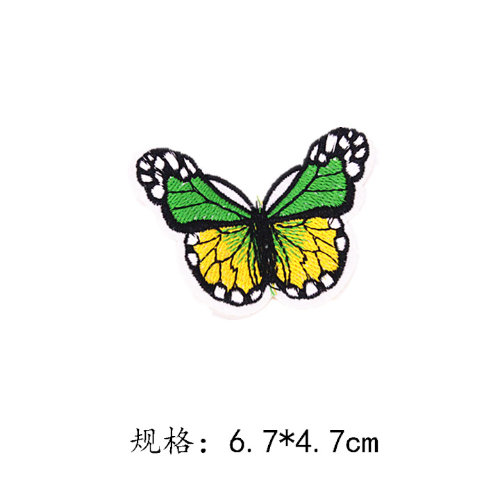 蝴蝶42