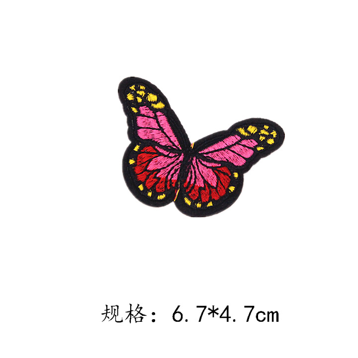 蝴蝶8