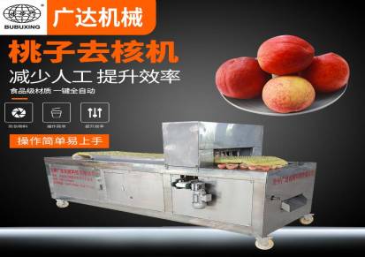 厂家直销桃去核机果蔬桃子去核设备黄桃去核机加工定制