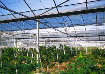 无锡保禹 智能玻璃阳光板温室大棚骨架钢管配件补光灯养殖蔬菜连体大棚