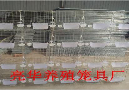 亮华鸽子笼厂家现货批发三层鸽笼 12位鸽子笼 定做广式鸽笼