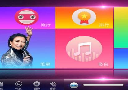 ktv专用点歌系统 KTV音响 视易K米 沧州销售公司