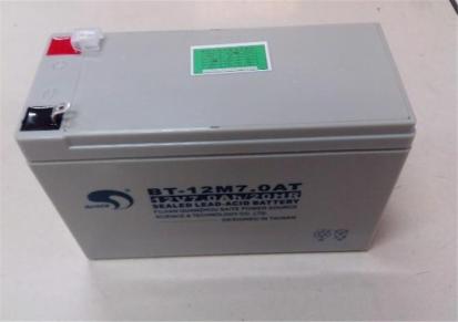 赛特蓄电池BT-HSE-55-12太阳能/风能专用AGM储能铅酸蓄电池