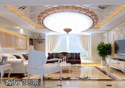 欧式树脂LED吸顶灯玻璃罩圆形金色小客厅卧室阳台吸顶灯批发