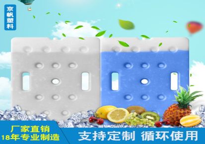厂家批发供应大容量冰盒冰板冰砖保温蓄冷降温保鲜蓝冰白冰可定制