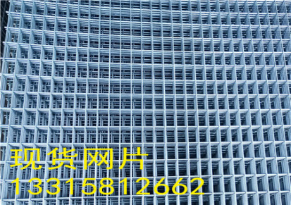 森琼生产销售加密小孔粗丝电焊网片 1.0 1.5 2.0钢丝焊接网片
