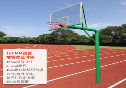 室外户外篮球架 成人家用 训练青少年可移动篮球框