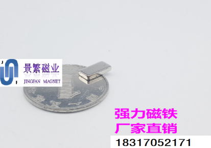 上海景繁 钕铁硼强力磁铁 长方形F10-5-3mm吸铁石 汽车窗帘磁铁