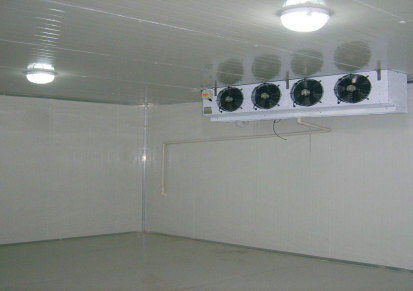 冰稻 专业冷库承建 冷冻库安装 质量保证 售后无忧