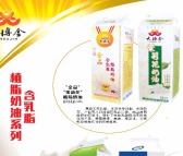 淡奶油|牛奶奶油|动物脂奶油|醇香自然||临沂大博金上海展览会新上市