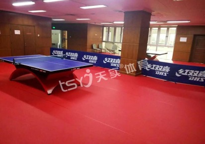 乒乓球馆专用地胶 免费安装 五年质保
