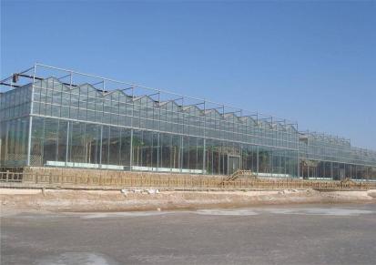 五丰智能温室WF-19智能温室，连栋温室厂家建造玻璃大棚，玻璃温室，五丰温室