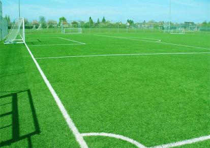 足球场人造草坪 幼儿园休闲草坪 围挡假草坪价格 菁华