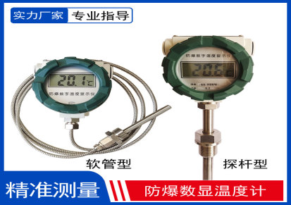数字温度计防爆温度表 上海精弗仪器仪表有限公司