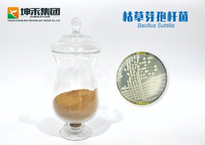 枯草芽孢杆菌 枯草芽孢杆菌厂家 天津开发区坤禾生物-