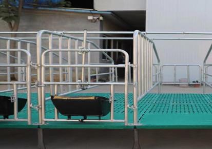 自强农牧 养殖场10母猪位定位栏保育床产床 单体双体镀锌 生产厂家支持定制