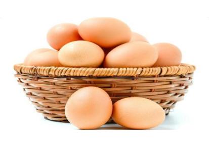 唐山鸡蛋鸡蛋