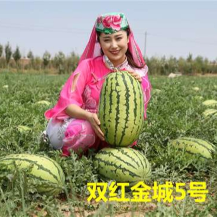 新疆大农种业有限公司