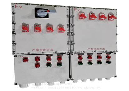 山西BXM51-9K防爆照明动力配电箱防爆配电装置防爆检修箱