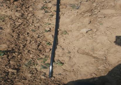 水神大棚黄瓜用贴片滴灌带土壤经常保持适宜的湿度