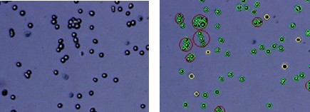 Countstar BioTech自动细胞计数仪,台盼蓝细胞计数,细胞大小分析