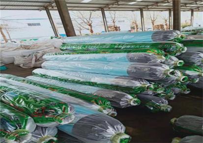 介绍 农用蓝色塑料纸 葡萄大棚塑料膜 保温增产