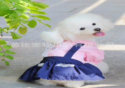 狗狗裙子，狗狗夏装，宠物衣服，狗狗衣服，粉蓝狗狗学生裙