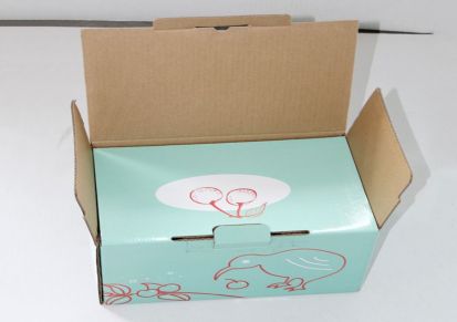 成都纸箱厂家 加工定制各种包装纸箱 现货供应 礼品盒生产 顺康