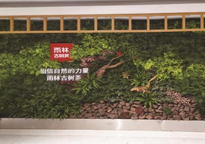 定制个性植物墙 植物墙