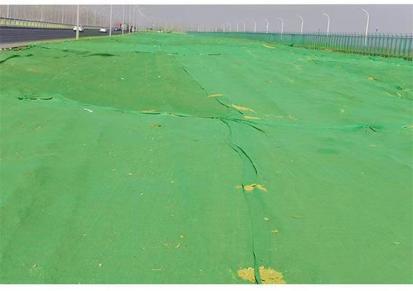 昌美 工地绿化防尘网 加密盖土绿网 环保覆盖防风抑尘密目网