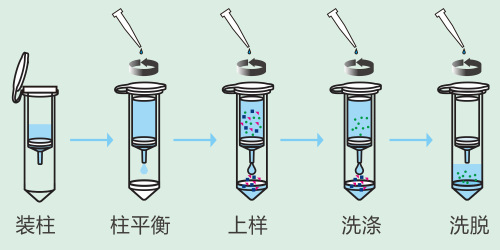 protein_purification_spin_colu