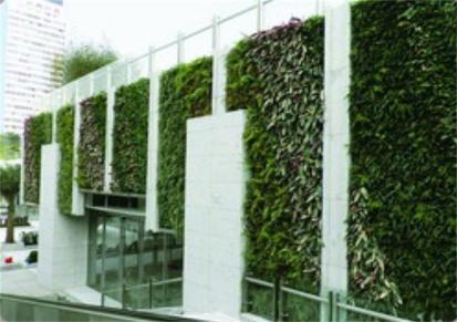 垂直绿化工程 植物墙植物 生态活体花卉室外绿化景观施工 圣恩园艺