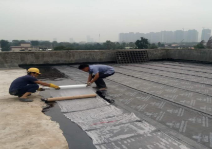 专业防水补漏 卫生间-地下室-屋顶-阳台 防水维修
