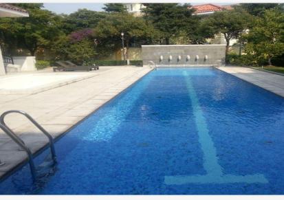 广州中鹏提供景观池定制设计 施工报价 优质商家定制泳池方案