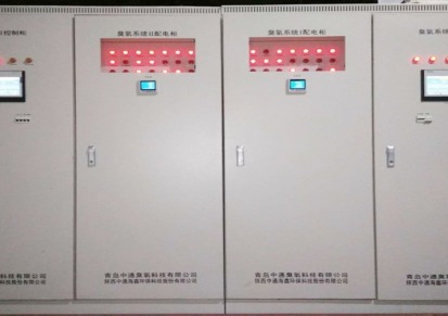 青岛厂家直供 卫生局备案 中通牌 小型可移动式臭氧水发生器 臭氧消毒设备