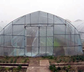 玻璃温室大棚 合肥建野结构坚固 安徽大棚