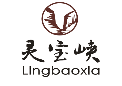 西安标志LOGO设计公司