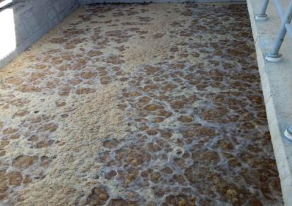 HDPE滤砖 科升水务 滤池 T型滤砖 反硝化滤池滤砖 工艺滤砖
