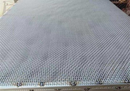 建筑铁丝网 镀锌网片 焊接建筑网 抹墙网 苗床防锈网 菌用蘑菇网