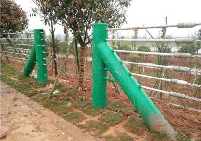 喷塑缆索护栏-道路绿色人字柱缆索防护栏-草绿色缆索护栏