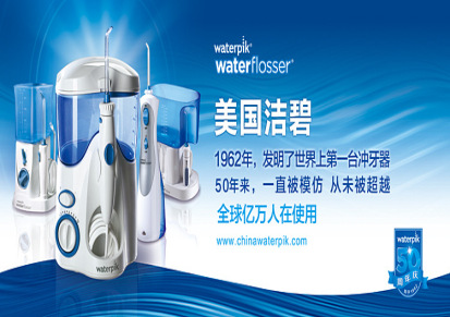 洁碧（Waterpik）WP-100EC+WP-450EC 超值家用套装冲牙器洗
