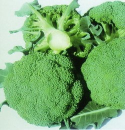 绿色保健蔬菜【花菜】