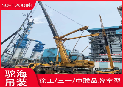 上海 松江大件吊装出租租赁 供应50-1200吨 驼海 24小时服务