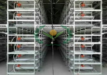 六层笼养设备 八层养鸡设备 自动化鸡笼设备厂家
